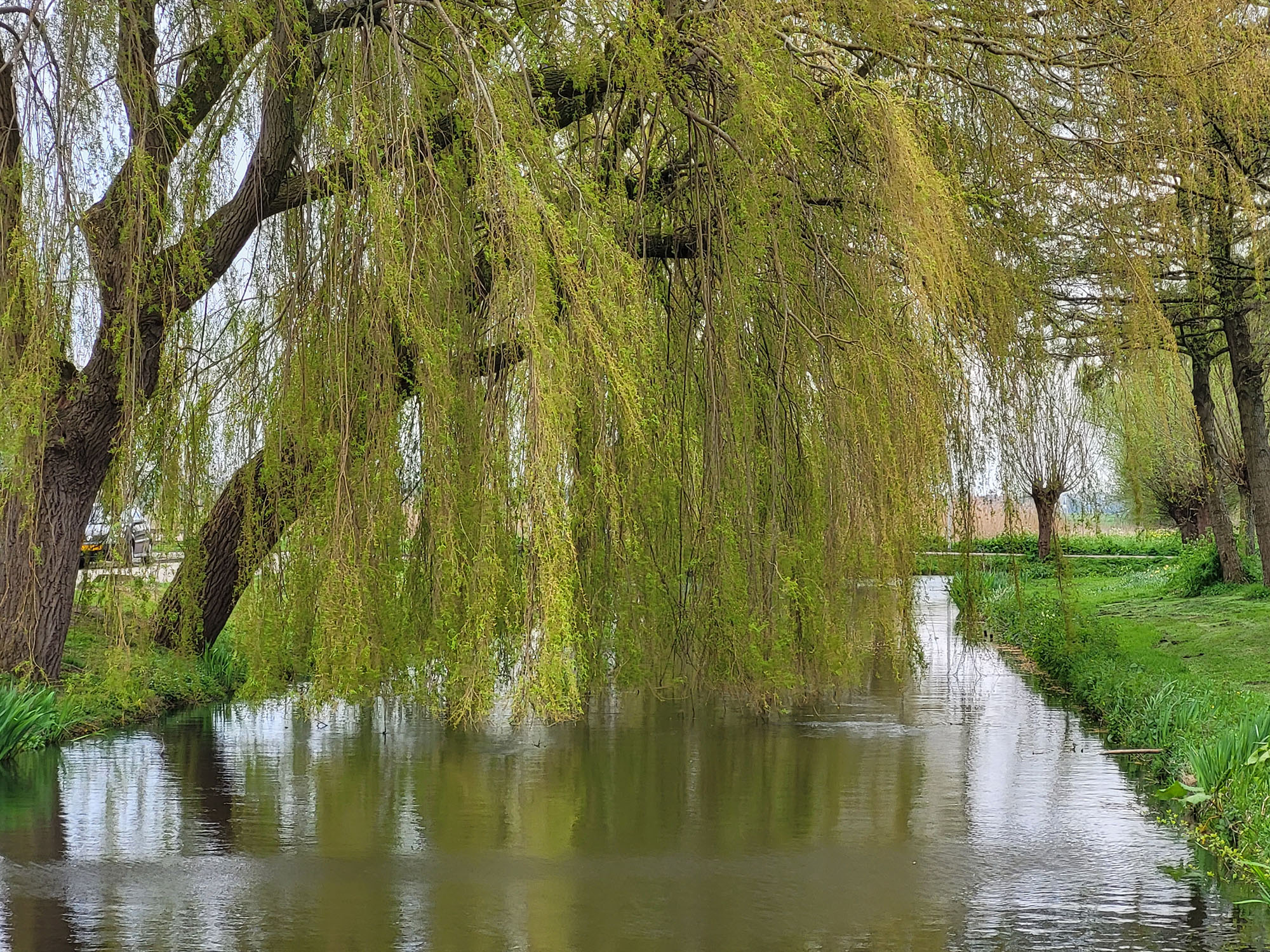 jouw groen tuin in historische polder
